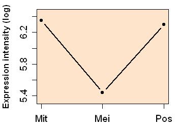 plot image