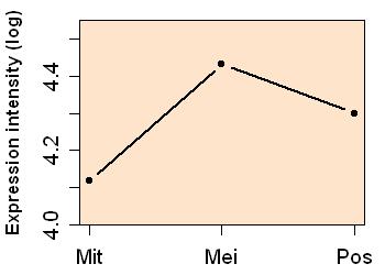 plot image