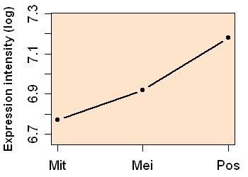 plot image