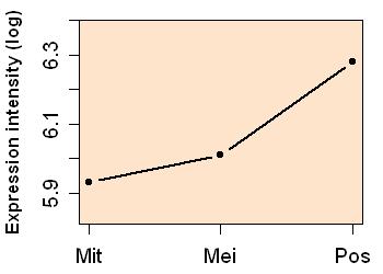 plot image