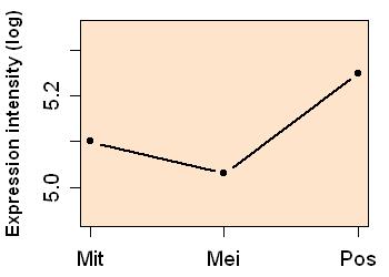 plot image