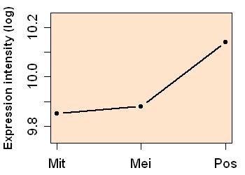 plot image