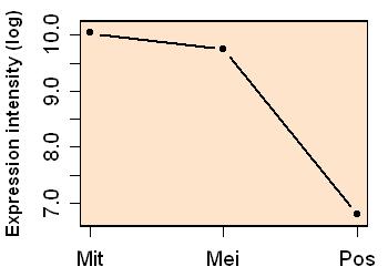 plot image