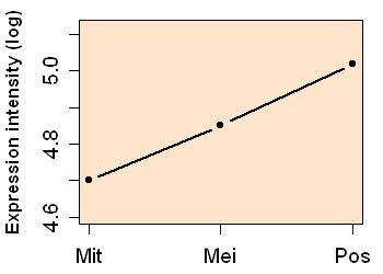 plot image