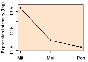 plot image