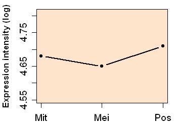 plot image