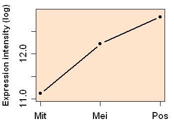 plot image