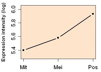 plot image