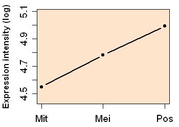 plot image