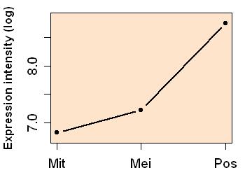 plot image