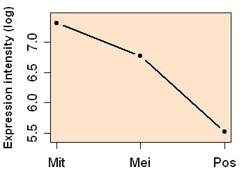 plot image