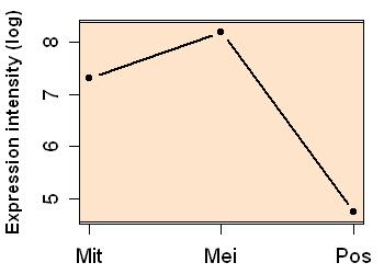 plot image