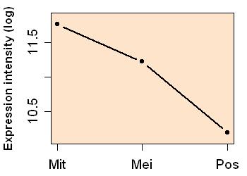 plot image