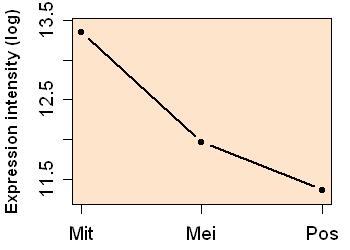 plot image