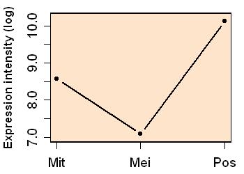 plot image