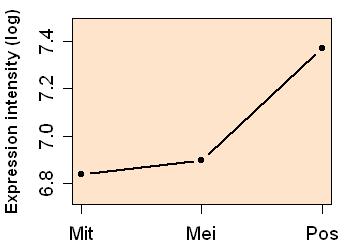 plot image