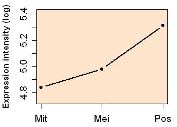 plot image