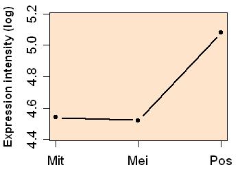 plot image