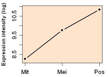 plot image