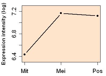 plot image