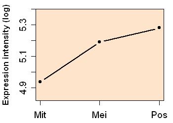 plot image