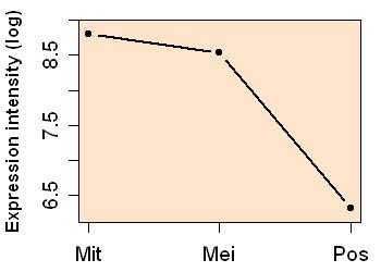 plot image