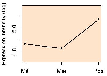 plot image