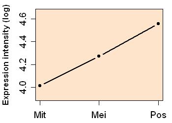 plot image