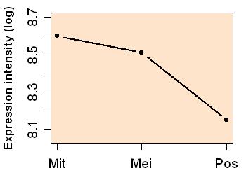 plot image