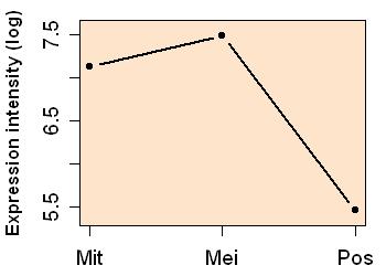 plot image