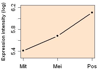 plot image