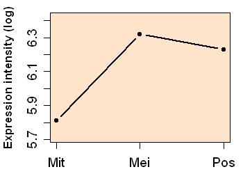 plot image