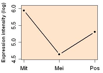 plot image