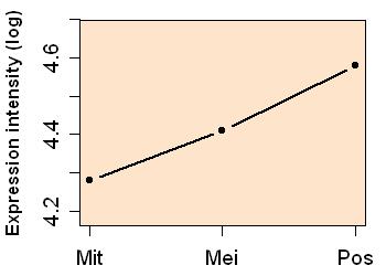 plot image