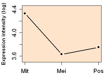 plot image