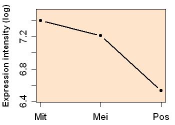 plot image