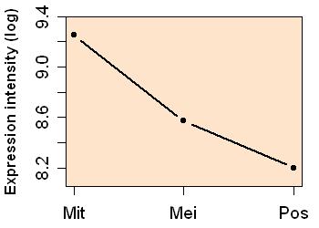 plot image