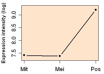 plot image