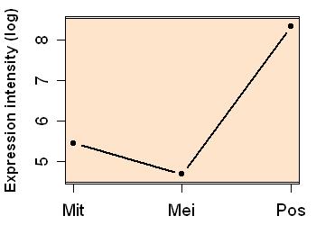 plot image