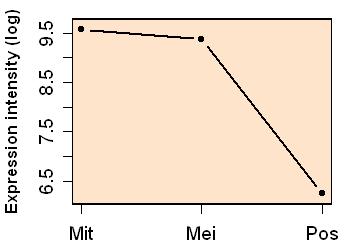 plot image