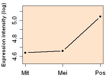 plot image