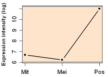 plot image