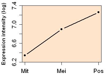 plot image