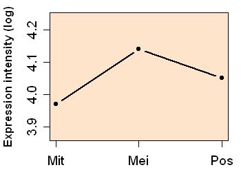 plot image