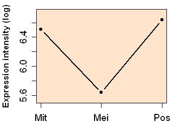 plot image