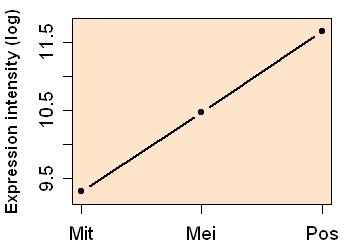 plot image