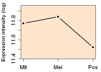 plot image