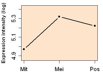 plot image