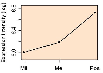 plot image