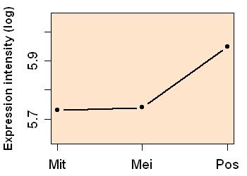 plot image